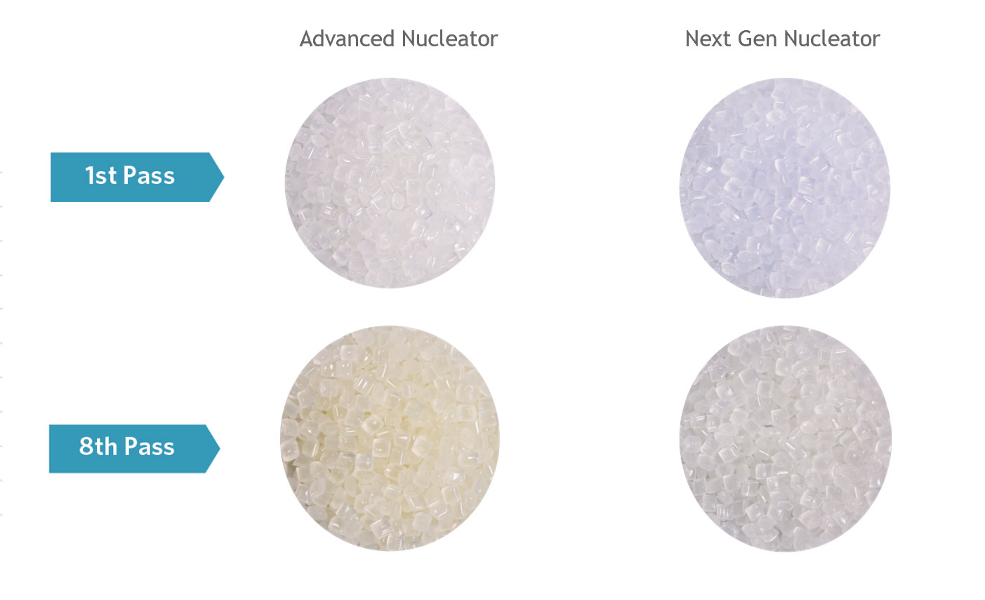 Nucleator Graphic
